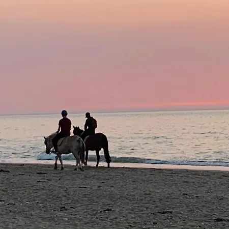 Tres Jolie Bianca, Maison Avec Jardin Prive A Vila *