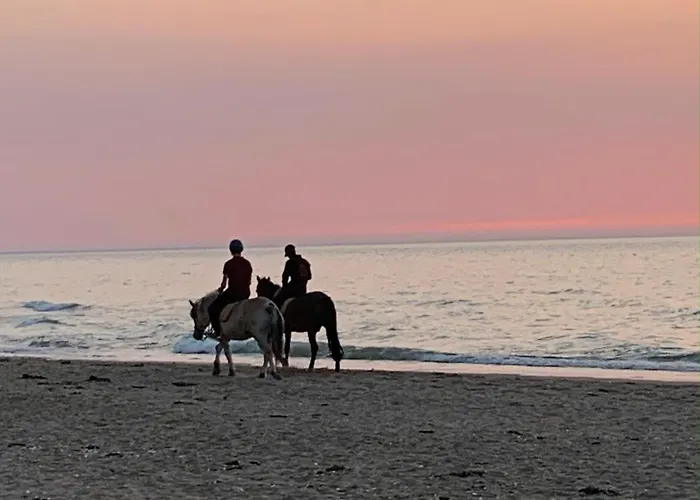 Tres Jolie Bianca, Maison Avec Jardin Prive A Vila *