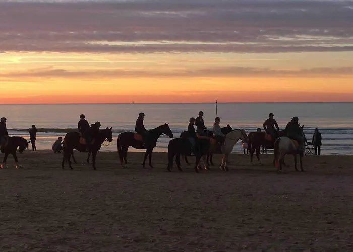 Tres Jolie Bianca, Maison Avec Jardin Prive A Deauville
