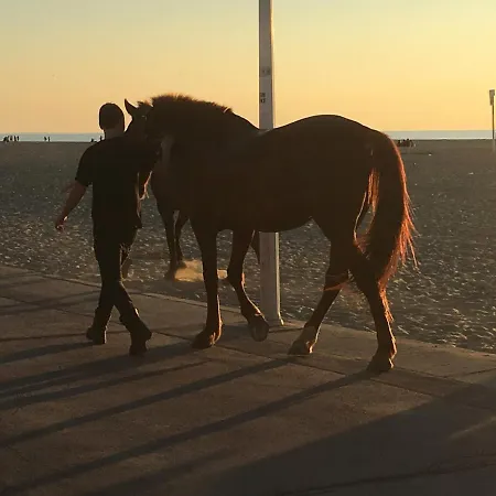 Tres Jolie Bianca, Maison Avec Jardin Prive A Villa