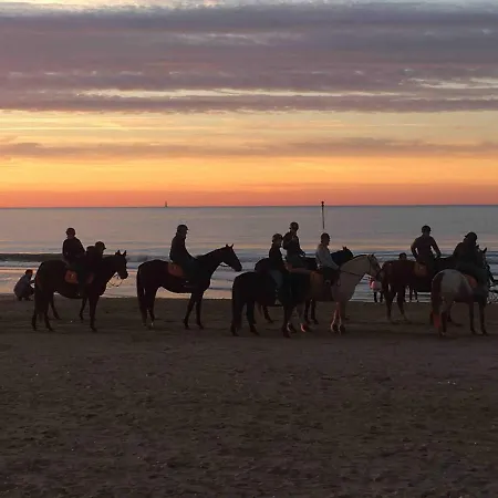 Tres Jolie Bianca, Maison Avec Jardin Prive A Deauville