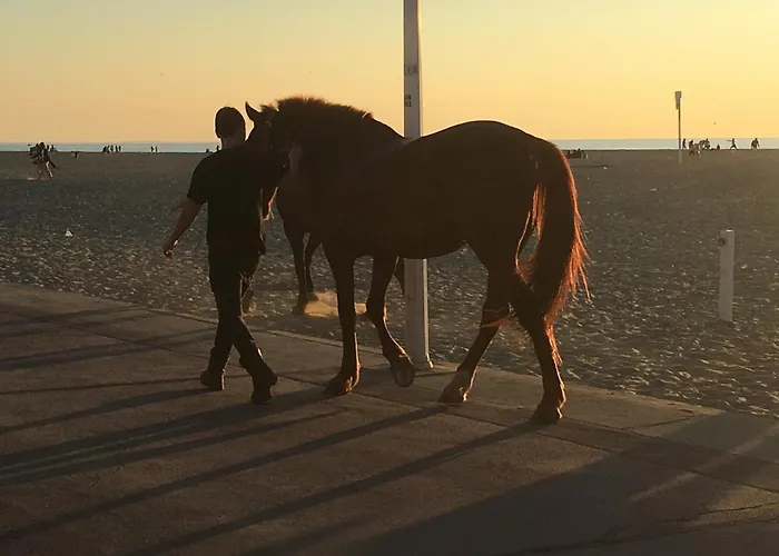 Très Jolie Bianca, Maison Avec Jardin Privé à Villa